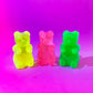 Kawaii gummy bears fridge magnets