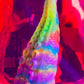 🌈 Rainbow Monster Dildo With Suction Cup 🌈